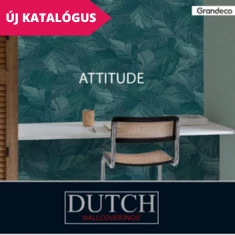 ATTITUDE
