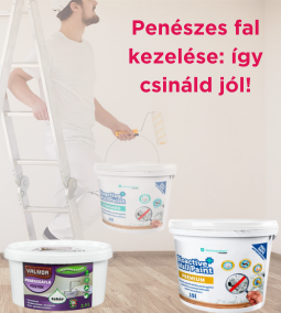 Penészes fal kezelése: így csináld jól!