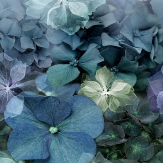 Virágmintás kék színárnyalatú  vlies tapéta Elle Decor 2267-20