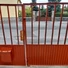 Coror_Rapid_Zomanc_voros