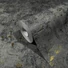 Beton Mintás fekete színű vlies tapéta Jackie 6825-50